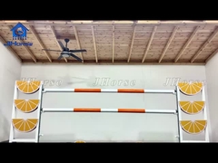 Perlengkapan Jumps Kuda Solid PVC Keamanan Tinggi untuk Pengendara Profesional